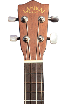 ukulele-guitar
